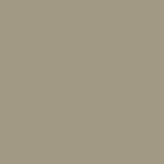 parelmoergrijs-ral-1035