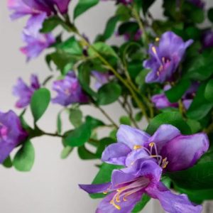 Zijdebloemen