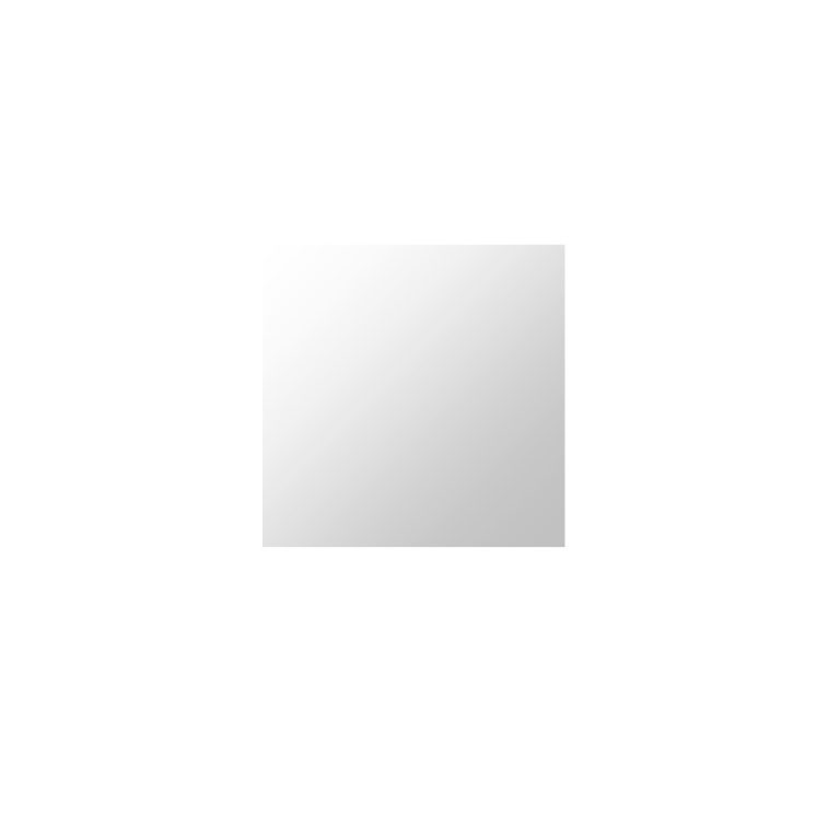 Plieger Basic spiegel Eclipse