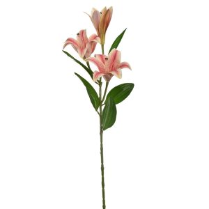 Zijdebloem Lelie